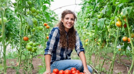 Wetsvoorstel meer zekerheid flexwerkers ingediend bij de Tweede Kamer 1