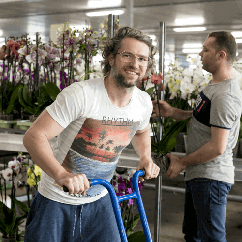 Verzuim volgens regels op orde