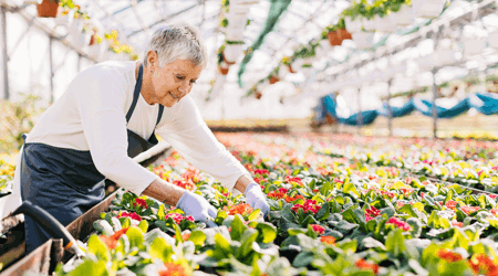 Oudere man staat met tablet in kantoor