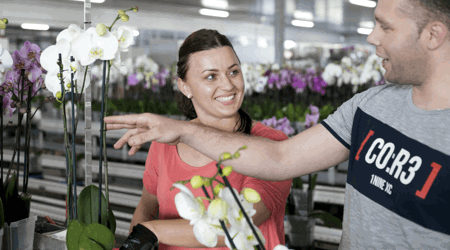 Veiliger werken met AI