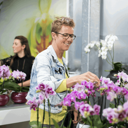 Verzuimverzekering - Medewerkers verzorgen bloemen in een tuincentrum op hun werk