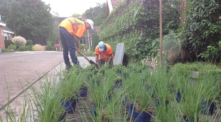 Klantverhaal - case study Sazas - AJ van der Werf BV