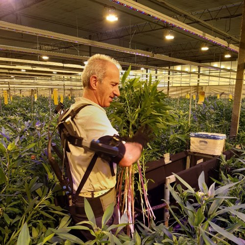 WIA interventiekosten - Sazas vergoedt Exoskelet