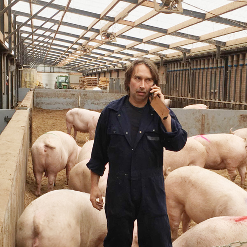 Jan Vogels In De Stal Op Zijn Varkenshouderij
