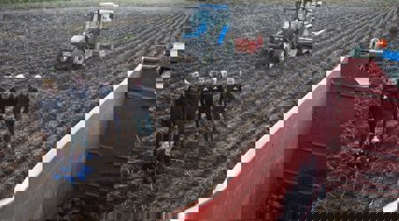 Klantverhaal Wim Van Den Eertwegh 'Goede Sfeer Is Heel Belangrijk'