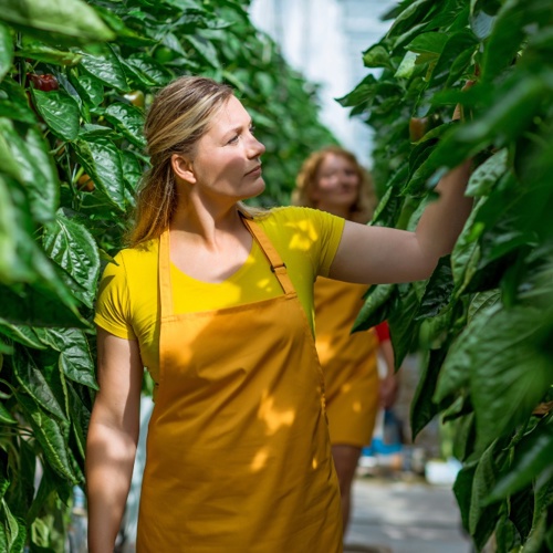 Nieuwe regels voor arbeidsvoorwaarden vanaf 1 augustus 2022: alle informatie op een rij