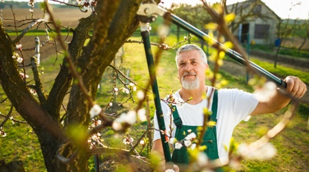 Loondoorbetaling van zieke AOW’er van 13 naar 6 weken in 2023