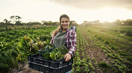 Jonge medewerker aan het werk in de moestuin