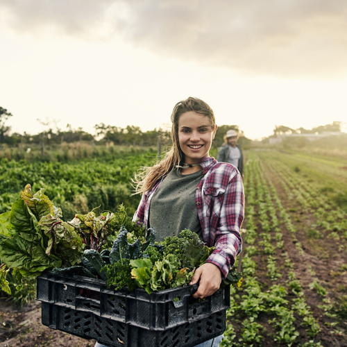 Jonge medewerker aan het werk in de moestuin