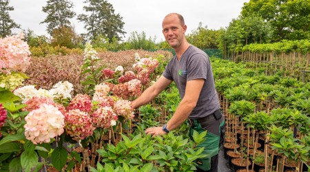 Klantverhaal Boomkwekerij Maaijen V.O.F. uit Boskoop - Sazas