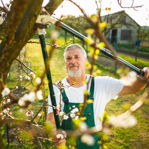 Loondoorbetaling van zieke AOW’er van 13 naar 6 weken in 2023