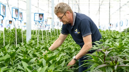 {"values":{"en-US":"Sazas-klant aan het woord De Jong Lelies investeert volop in duurzame inzetbaarheid-3"},"dtdGuid":"15a9b32f-61d9-41fc-9290-aa25dfe2889d"}