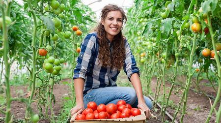 Belangrijkste maatregelen voor toekomstbestendige arbeidsmarkt - Sazas