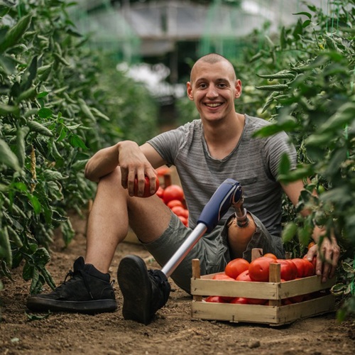 No-riskpolis en verzuimverzekering 