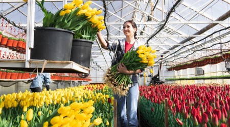 Arbeidsproductiviteit verhogen