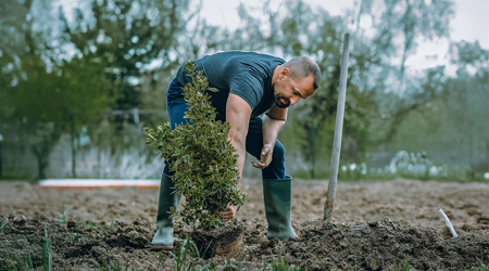 Persbericht: Sazas signaleert zorgwekkende toename psychisch verzuim in agrarische en groene sector