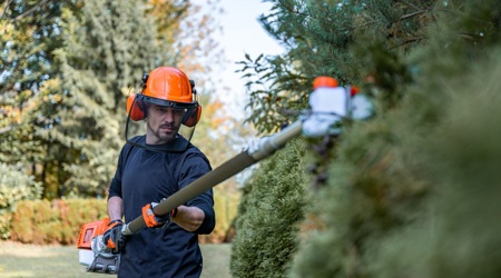 Langdurig Ziekteverzuim Drukt Steeds Zwaarder Op Agrarische En Groene Sector