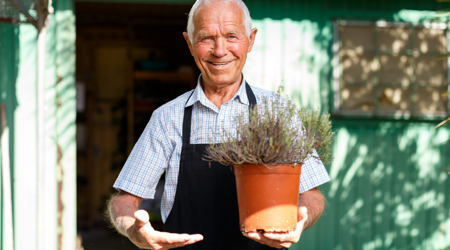 AOW Leeftijd Ongewijzigd