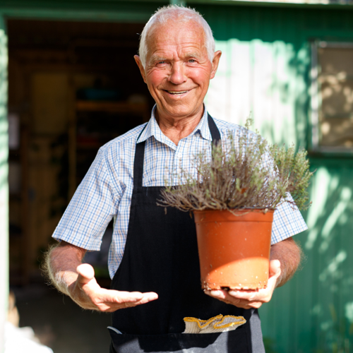AOW Leeftijd Ongewijzigd