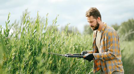 Persbericht Verzuim Sector Argrarisch Groen