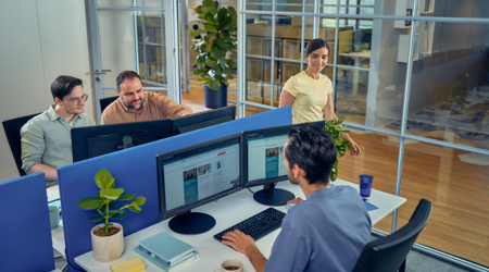 Sazas Kantoor Collega's Aan Het Werk