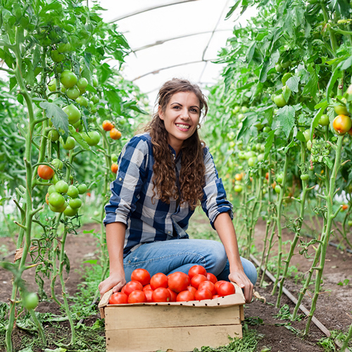 Verzuim voorkomen en verzekeren begint bij Sazas