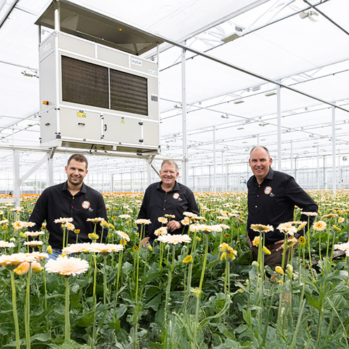 Klantverhaal Gerbera United - Sazas