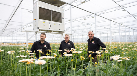 Klantverhaal Gerbera United - Sazas